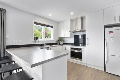 Photo of property in 19 Oxford Street, Richmond, 7020