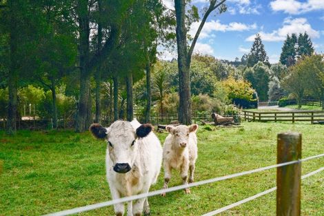 Photo of property in 862c Paradise Valley Road, Ngongotaha Valley, Rotorua, 3072