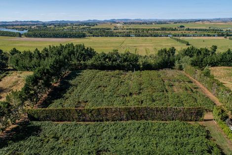 Photo of property in 159 Plantation Road, Rangiriri, Te Kauwhata, 3782