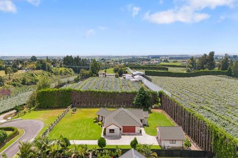 Photo of property in 57b Fairview Place, Te Puke, 3119