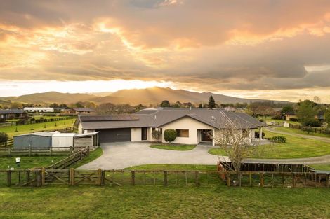 Photo of property in 317b Inglefield Street, Pirongia, Te Awamutu, 3876
