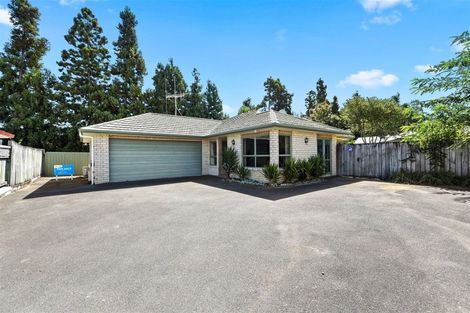 Photo of property in 12 Hastings Place, Hamilton Lake, Hamilton, 3204