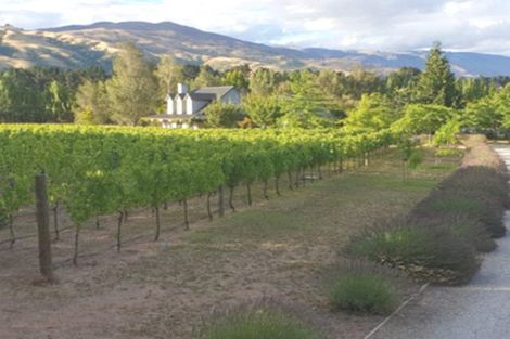 Photo of property in 141 Pearson Road, Cromwell, 9384