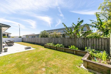 Photo of property in 9 Ashwood Street, Woodridge, Wellington, 6037