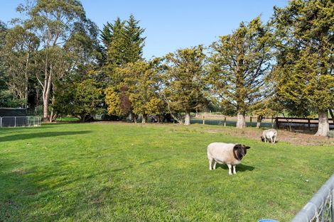 Photo of property in 1680 Hoskyns Road, Kirwee, Darfield, 7571