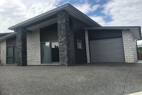 Photo of property in 10 Alford Place, Huntington, Hamilton, 3210