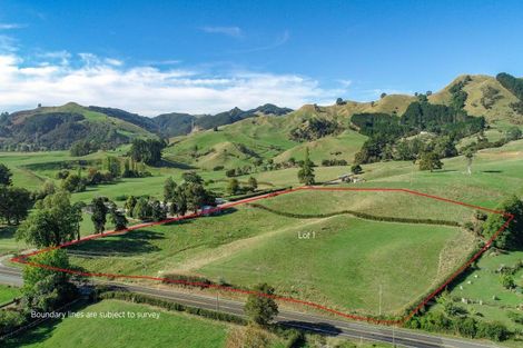 Photo of property in 48 Morrison Road, Taneatua, 3123