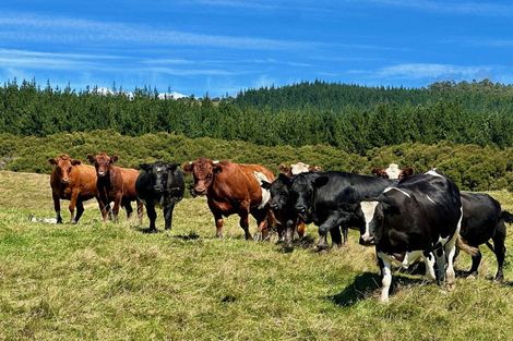 Photo of property in 397 Tuparoa Road, Ruatoria, 4082