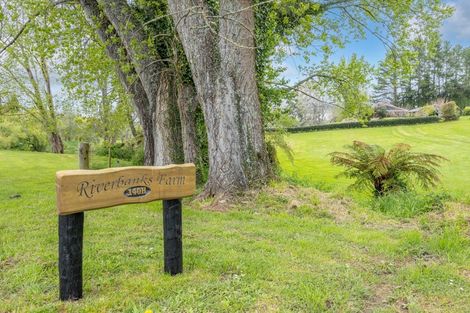 Photo of property in 140h Tebbutt Road, Lower Kaimai, Tauranga, 3171