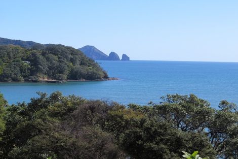 Photo of property in 1473 Port Charles Road, Port Charles, Coromandel, 3584