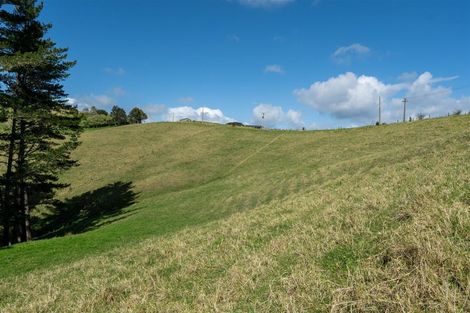 Photo of property in 15 Toots Drive, Kawakawa, 0282