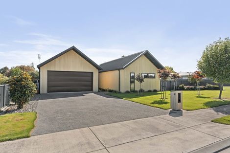 Photo of property in 61 Miro Street, Lansdowne, Masterton, 5810