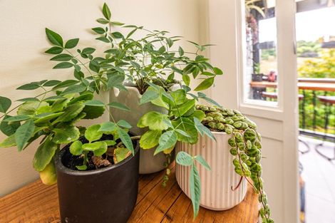 Photo of property in 50 Webb Road, Durie Hill, Whanganui, 4500