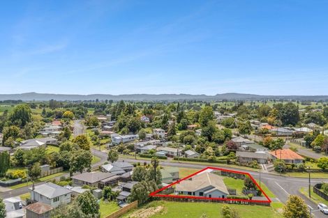 Photo of property in 36 Clothier Street, Putaruru, 3411