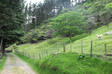 Photo of property in 102 Pakihi Road, Toatoa, Opotiki, 3197