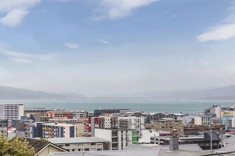 Photo of property in 66 Thompson Street, Mount Cook, Wellington, 6011