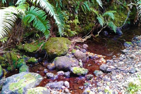 Photo of property in 445 Taita Road, Waimamaku, Kaikohe, 0473