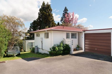 Photo of property in 24b Burns Street, Gate Pa, Tauranga, 3112