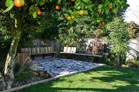 Photo of property in 12 Holland Road, Fairfield, Hamilton, 3214