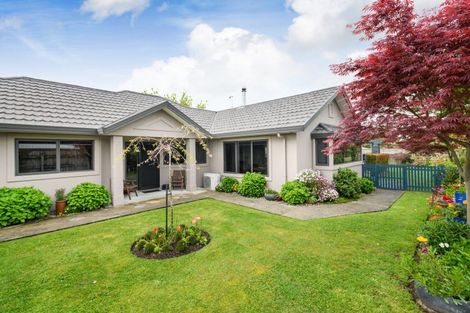 Photo of property in 18 Ursula Drive, Feilding, 4702