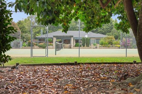 Photo of property in 74 Raukawa Drive, Bethlehem, Tauranga, 3110