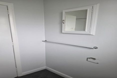 Photo of property in 195 Nikau Street, Saint Leonards, Hastings, 4120