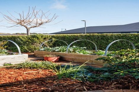 Photo of property in 12 Jarrett Terrace, Leamington, Cambridge, 3432