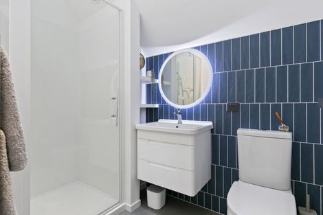 Photo of property in 38 Balfour Street, Mornington, Wellington, 6021