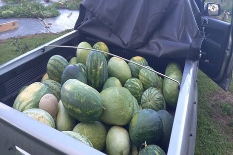 Photo of property in 155 Old Taupo Road, Arapuni, Putaruru, 3481