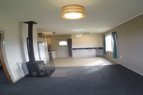 Photo of property in 43 Copinsha Street, Palmerston, 9430