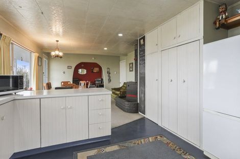 Photo of property in 15 Montrose Street, Waiau, 7332