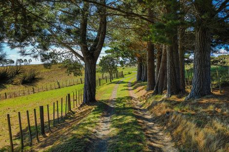 Photo of property in 116 Tuhirangi Road, Makarau, Warkworth, 0984