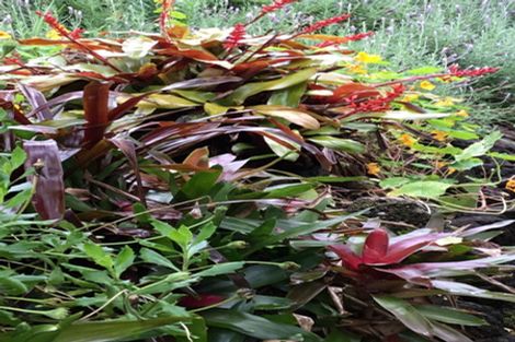 Photo of property in 38a Albert Road, Devonport, Auckland, 0624