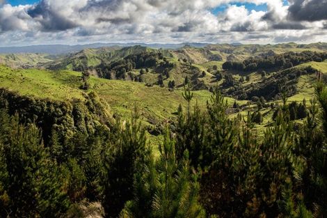 Photo of property in 81d Middle Road, Tohunga Junction, Raetihi, 4696