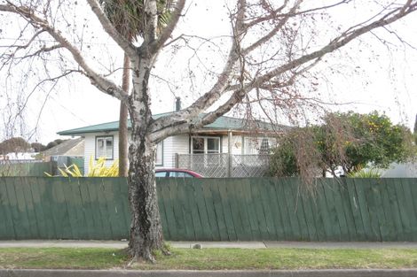 Photo of property in 58 Masefield Avenue, Maraenui, Napier, 4110