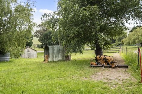 Photo of property in 879 Palmerston-waikouaiti Road, Goodwood, Palmerston, 9481
