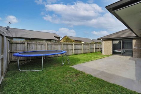 Photo of property in 29 Ladeira Place, Fitzroy, Hamilton, 3206