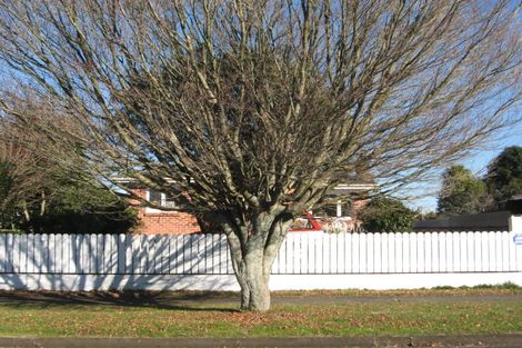 Photo of property in 15 Laurie Avenue, Papakura, 2110