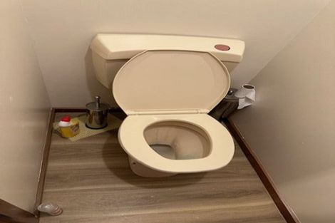 Photo of property in 40 Ariel Street, Stratford, 4332