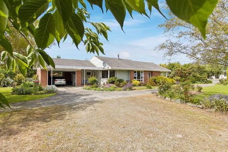 Photo of property in 68 Mill Road, Waimate, 7924