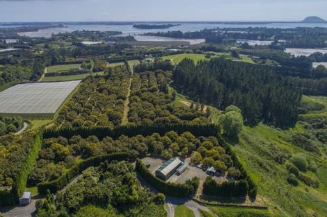 Photo of property in 56g Plummers Point Road, Whakamarama, Tauranga, 3172