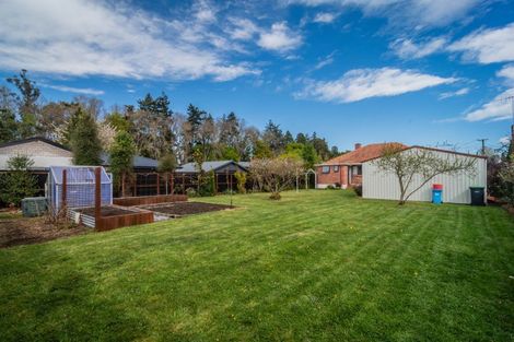 Photo of property in 8 Ormsby Street, Temuka, 7920