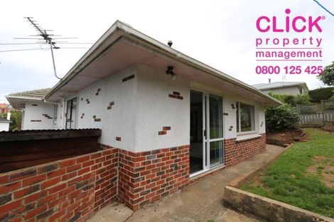 Photo of property in 14 Napier Street, Belleknowes, Dunedin, 9011