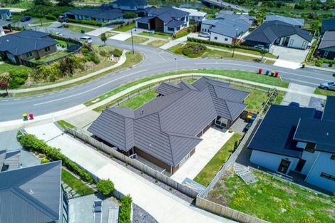 Photo of property in 81 John Burke Drive, Aotea, Porirua, 5024