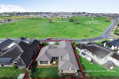 Photo of property in 49 Meadowfield Street, Flagstaff, Hamilton, 3210