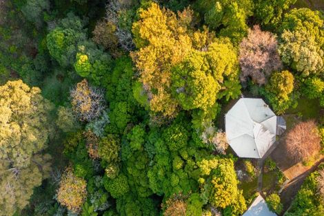 Photo of property in 60 Leinster Avenue, Raumati South, Paraparaumu, 5032