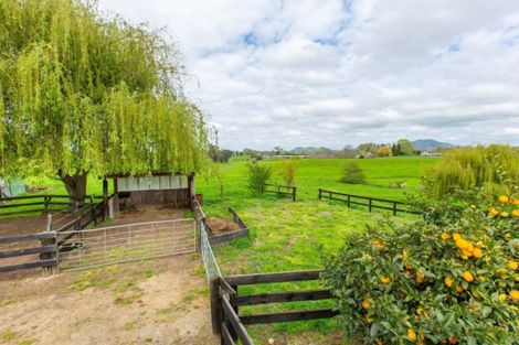 Photo of property in 41 Sheehan Street, Kihikihi, Te Awamutu, 3800