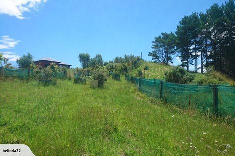 Photo of property in 420 Phillips Road, Raglan, Te Mata, 3894