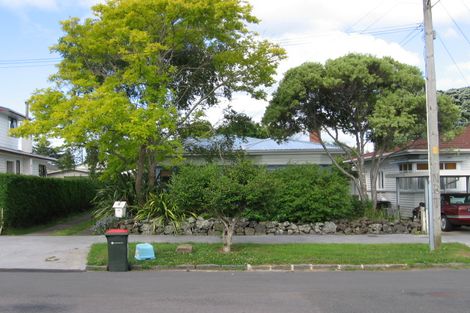 Photo of property in 21 Maranui Avenue, Point Chevalier, Auckland, 1022
