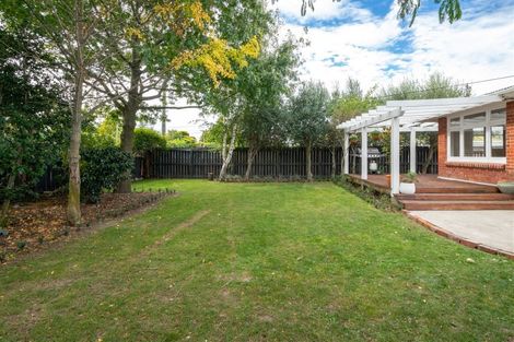 Photo of property in 21 Monro Street, Blenheim, 7201